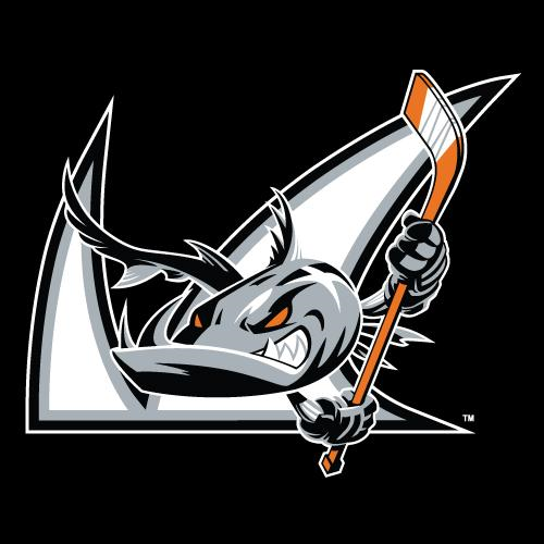 San Jose Barracuda 2015-2018 Alternate Logo iron on heat transfer